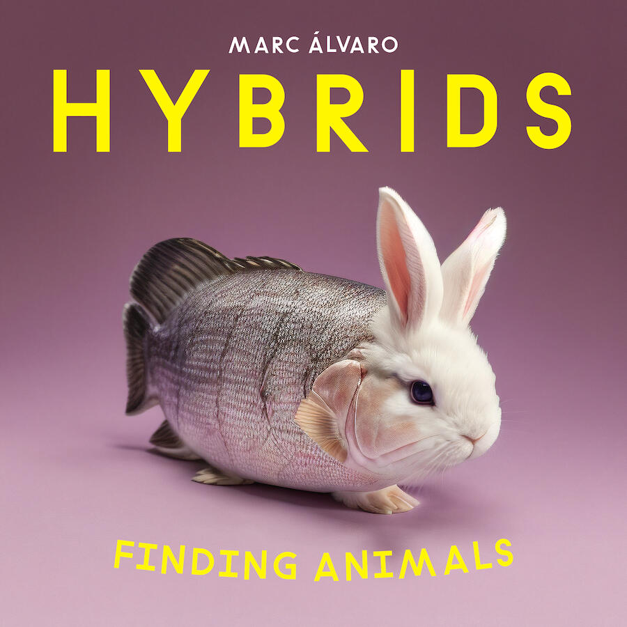 Finding Animals - Image Search Puzzle Book