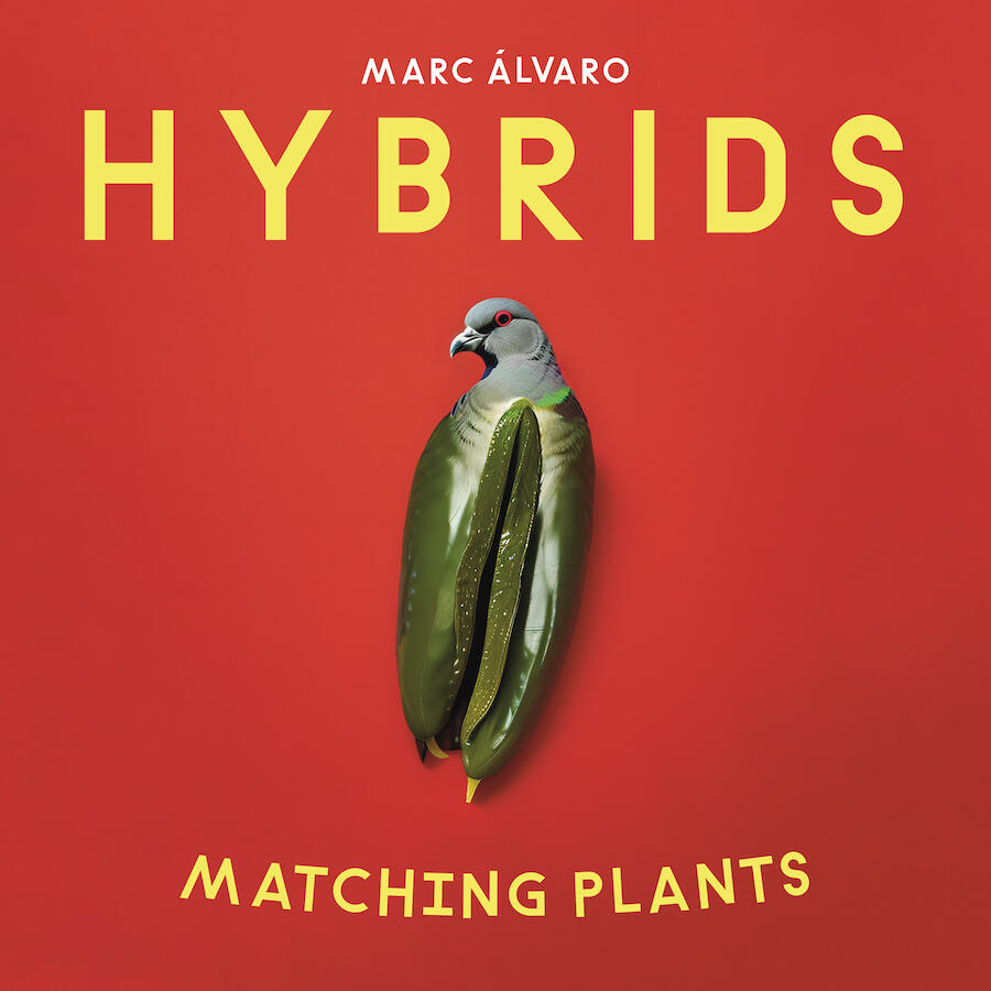 Matching Plants - Image Search Puzzle Book