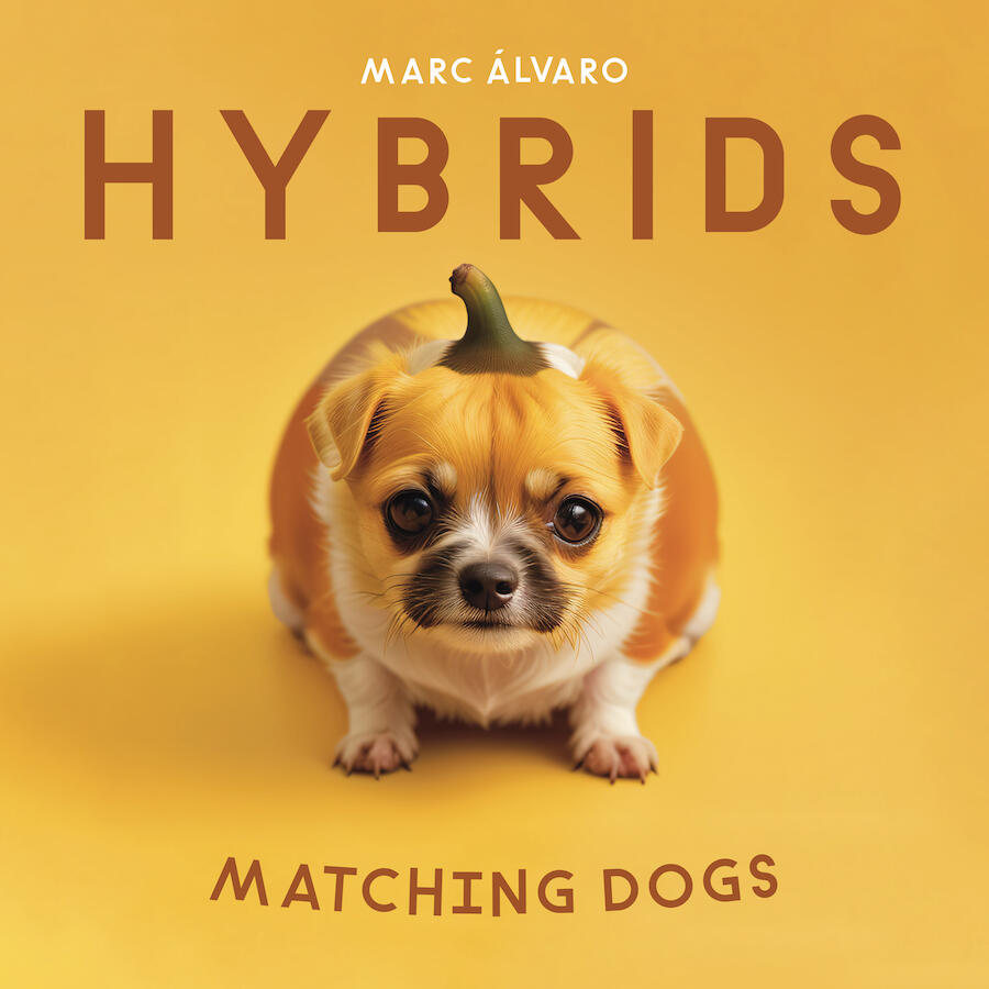 Matching Dogs - Image Search Puzzle Book